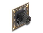 DELOCK USB 2.0 Kameramodul 2,1 Megapixel 94° V6 Fixfokus