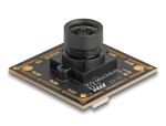 DELOCK USB 2.0 Kameramodul 2,1 Megapixel 94° V6 Fixfokus