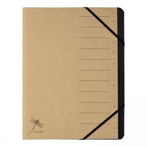 Pagna 40061-11 Tab-Register Konventioneller Dateiordner Karton Braun
