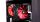 Xilence M704 Prozessor Kühler 12 cm Schwarz, Rot