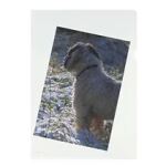 Herlitz 10843746 Klarsichthülle 210 x 297 mm (A4) Polypropylen (PP) 100 Stück(e)