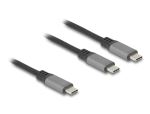 DELOCK USB-C Y-Kabel 1 x St zu 2 x St PD 3.0 100 W 1,2 m