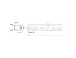 DELOCK Hutschiene 35 x 15 mm (25cm) Aluminium