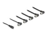 DELOCK DC Splitter Kabel 1 x Buchse gerade zu 5 x Buchse 5,5