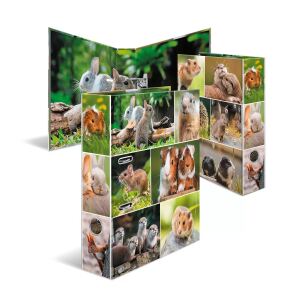 HERMA Motiv-Ordner A4 Animals Nagetiere