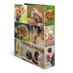HERMA Motiv-Ordner A4 Animals Nagetiere