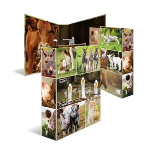 HERMA 19253 Ringmappe A4 Mehrfarbig