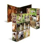 HERMA 19253 Ringmappe A4 Mehrfarbig