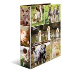 HERMA 19253 Ringmappe A4 Mehrfarbig