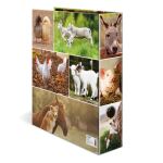 HERMA 19253 Ringmappe A4 Mehrfarbig