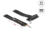 DELOCK M.2 Key M > U.2 SFF-8639 NVMe Adapter gew. 20cm...