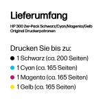 HP 300 2er-Pack Schwarz/Cyan/Magenta/Gelb Original Druckerpatronen