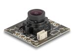 DELOCK Analoges CVBS Kameramodul 2,1Megapixel130°V8Fixfokus