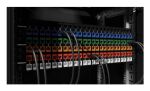 Intellinet 766623791335 Keystone-Modul