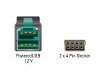 DELOCKPowered USB Kabel 12V St > 2x4Pin St 2.0m