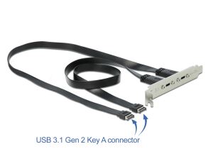 DELOCK USB 3.1 Gen 2 Slotblech mit 2 x USB Type-C Port