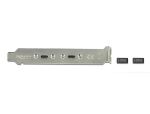 DELOCK USB 3.1 Gen 2 Slotblech mit 2 x USB Type-C Port