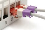 Digitus Farbclips für Patchkabel - Violett