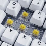 Sharkoon SKILLER SGK50 S3 PBT Tastatur Gaming USB QWERTZ Deutsch Weiß