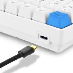 Sharkoon SKILLER SGK50 S3 PBT Tastatur Gaming USB QWERTZ Deutsch Weiß