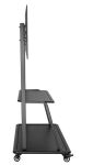 Neomounts NS-M4000BLACK 2,67 m (105") Schwarz