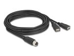 DELOCK M12 Kabel A-kodiert 8 Pin Bu zu 2 x USB 2.0 Bu 3m sw