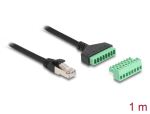 DeLOCK RJ45 Kabel Cat.6 Stecker zu Terminalblock Adapter 1 m 2-teilig