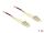 DELOCK LWL Patchkabel LC -> LC 1.00m Multimode Duplex OM4
