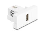 DELOCK Easy 45 Modul USB 2.0 Typ-A BU zu USB 2.0 Typ-A BU ws