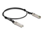 DELOCK Kabel Twinax SFP+ Stecker zu SFP+ Stecker 1 m