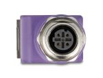 DELOCK M12 Adapter D-kodiert 4 Pin Bu zu RJ45 Bu gewinkelt