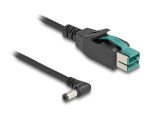 DELOCK PoweredUSB Kabel Stecker 12 V zu DC 5,5 x 2,1 mm 3 m