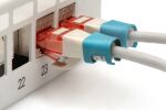 Digitus Farbclips für Patchkabel - Blau