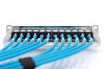 Digitus Modulares Patch Panel, 12-Port