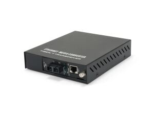 LevelOne FVM-1101 Netzwerk Medienkonverter 100 Mbit/s 1310 nm Schwarz