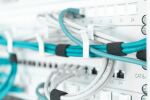 Digitus Kabelrangierpanel mit Kabelführungsbügeln für 483 mm (19")-Schränke, 1HE