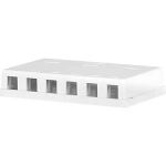 EFB Elektronik EC020400006 Netzwerkanschlussdose Weiß