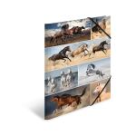 HERMA 19217 Sammelmappe Karton Mehrfarbig A3