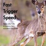 Logilink Wildkamera Nachtsicht,Wärme-Bewegungsauslöser IP66