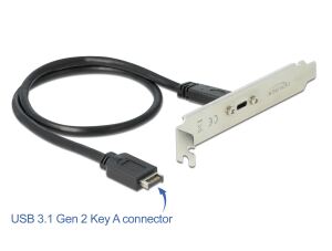 DeLOCK Slotblech 1x USB 3.1 Gen2 C - Digital/Daten - 0,5 m