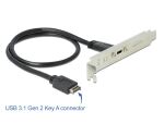 DeLOCK Slotblech 1x USB 3.1 Gen2 C - Digital/Daten - 0,5 m