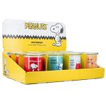 Peanuts Thekendisplay 12 x 250g