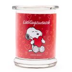 Peanuts Thekendisplay 12 x 250g