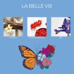 Frida Kahlo Duftkerze - La Belle vie, Exotic Jasmine 3er Set