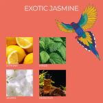 Frida Kahlo Duftkerze - La Belle vie, Exotic Jasmine 3er Set