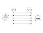 DELOCK Netzwerkadapter M12 8 Pin A-kodiert Bu > RJ45 Bu