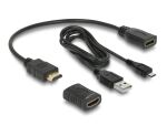 DELOCK HDMI-Tester f. EDID-Info m. OLED-Anzeige