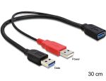 DeLOCK 83176 USB Kabel USB 3.2 Gen 1 (3.1 Gen 1) 0,3 m...