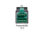 DELOCK PCIe Card Powered USB > 3x 12V