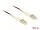 DELOCK LWL Kabel LC Duplex zu LC Duplex Multimode OM4 50 m